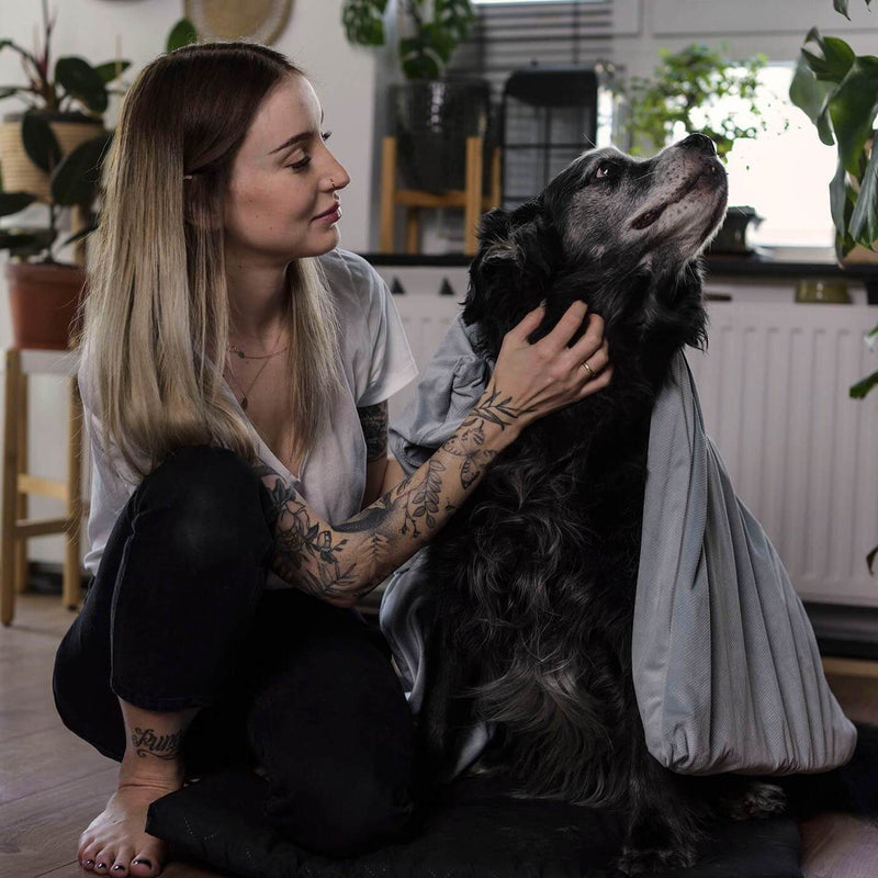 Hunde Gewichtsdecke
